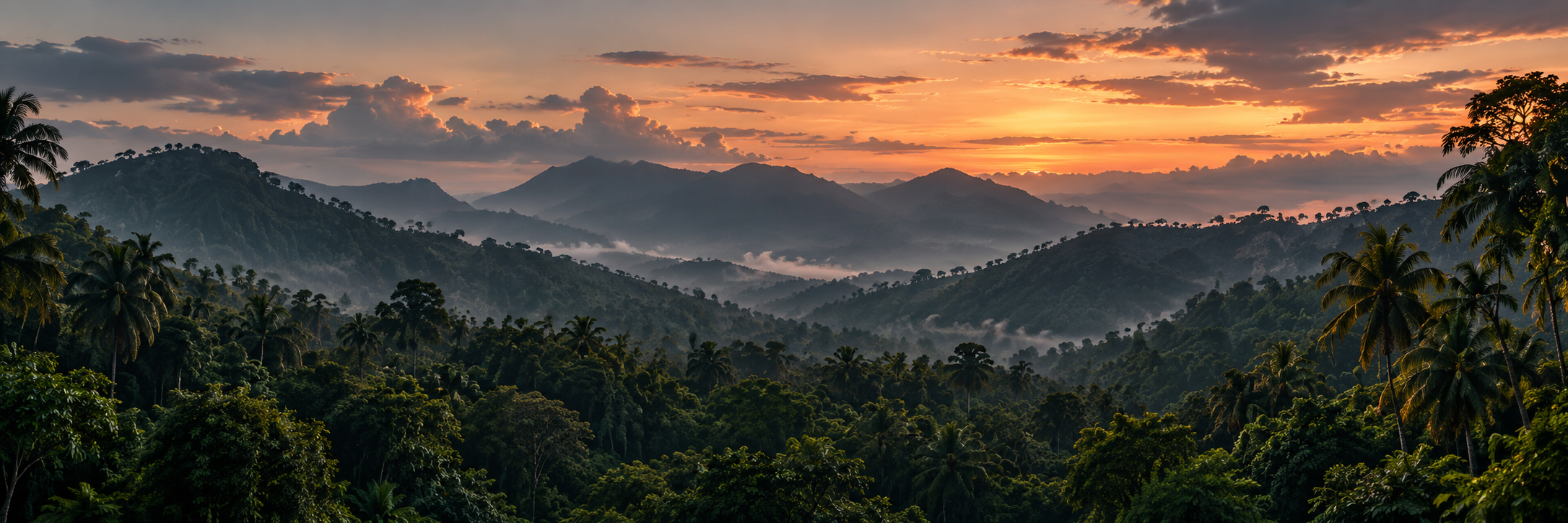 Illustrative Malaysian rainforest hills and valley mist at dusk.